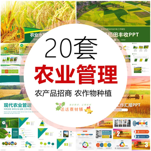 农业宣传PPT 农产品招商引资水稻玉米小麦丰收现代农业工作汇报