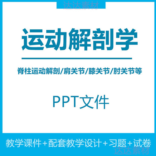 运动解剖学教学课件肩关节膝关节脊柱上下肢肌肉解剖培训PPT教案