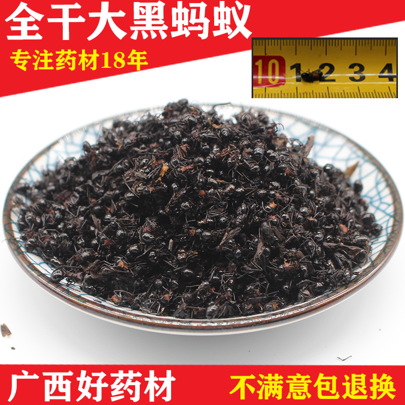 特大黑蚂蚁干天然250g正品特级养生中药材泡酒广西大黑蚂蚁可打粉