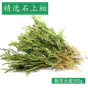 深山石上柏500g中药材新鲜晒干深绿卷柏梭罗地侧柏地柏草龙鳞草