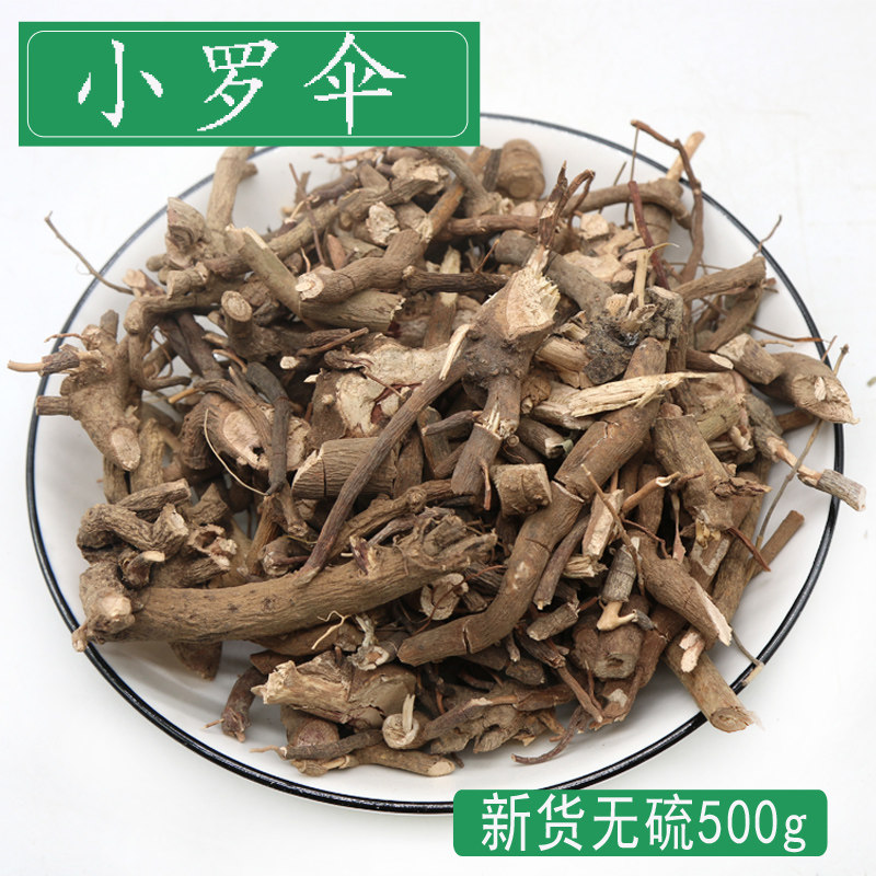 朱砂根正品小罗伞根野生500g中药材小罗伞凉伞八爪金龙粉售大罗伞