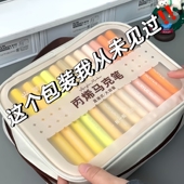 掌握直液式 软头丙烯马克笔不透色可叠色绘画水彩笔小学生美术专用