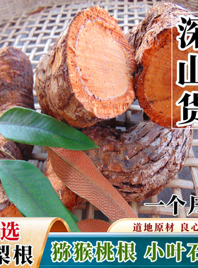 深山猕猴桃根雄洋桃杨根藤梨根野外生小叶石苇刀口药可分30份一月