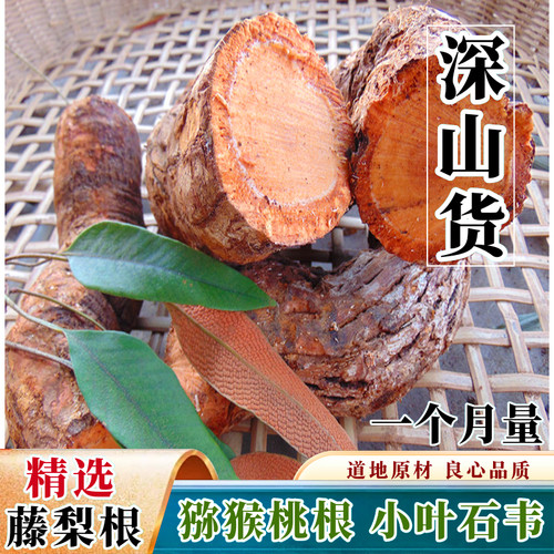 深山猕猴桃藤梨根野外生小叶石苇