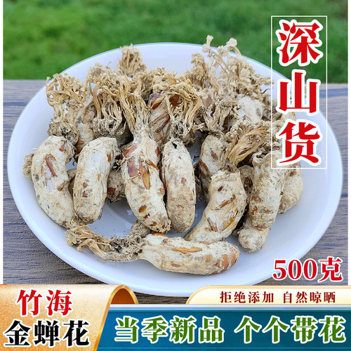 竹海金蝉花新货500g虫草金婵蚕花