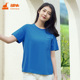 春夏纯棉休闲上衣短袖 铜牛臻棉贴袋半袖 休闲女衫 T恤女VS265