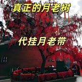 真正 饰祈福 月老树红丝带装