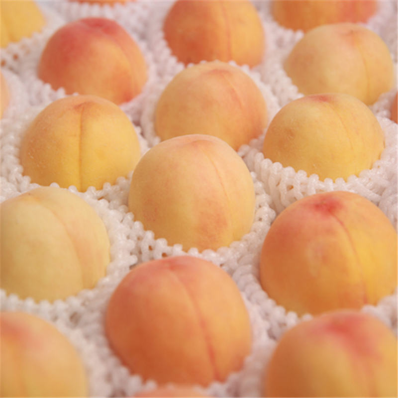 现摘无锡白凤湖景水蜜桃应季水果桃子新鲜水果孕妇控糖包邮