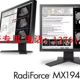 EIZO 艺卓S2133 S1934 医疗显示器MX216国行21寸标屏 RS110 MX194