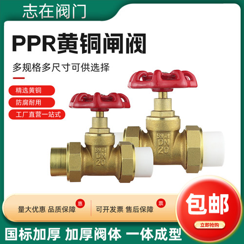 全铜闸阀ppr管PE管自来水管阀门开关4分20管6分25双活接1寸32热熔