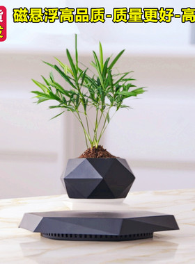 办公室家居自转磁悬浮花盆盆栽装饰摆件创意礼物送领导老师礼物品