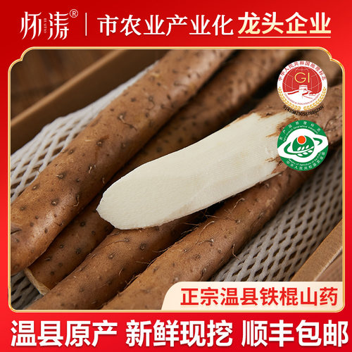 怀涛焦作温县铁棍山药