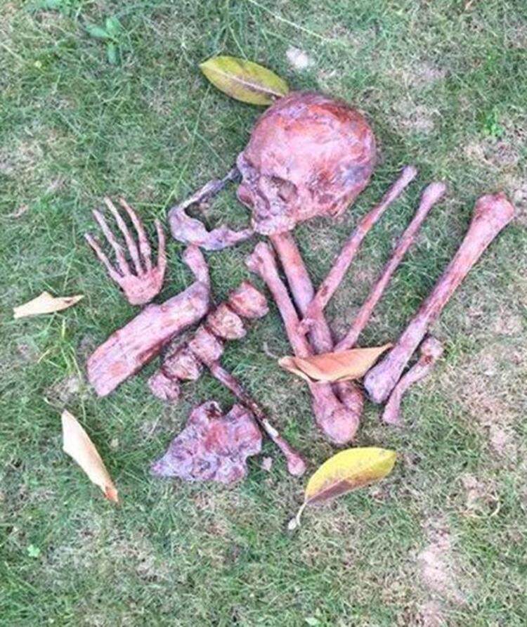 万圣节鬼屋恐怖道具红色血腥骨密室机关塑料真散骨架碎骨头骷髅