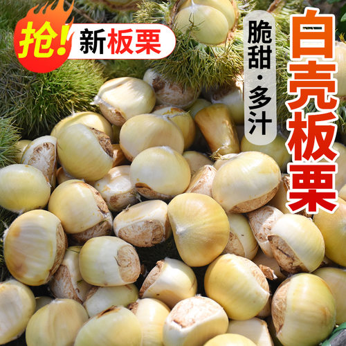 新鲜板栗2026新下树带壳板栗生新鲜油板栗子白壳嫩板栗毛板栗子