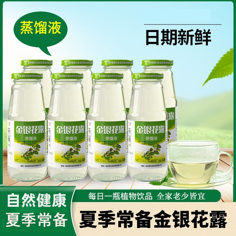 大别山特产金银花露成人饮料夏季止渴银花露整箱蒸馏液