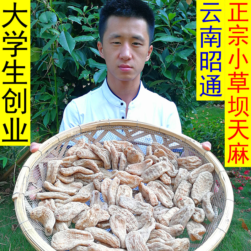 云南昭通小草坝野生特级纯天然天麻500g正品胜长白山 可切片磨粉