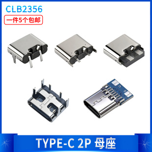 面插简易型两脚插板快充接口 90度插件焊线立贴卧式 TYPE C2P充电款