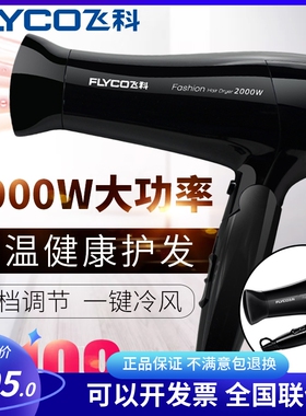 飞科家用大功率fh6231电吹风机冷热风集风嘴风筒酒店宾馆用2000W