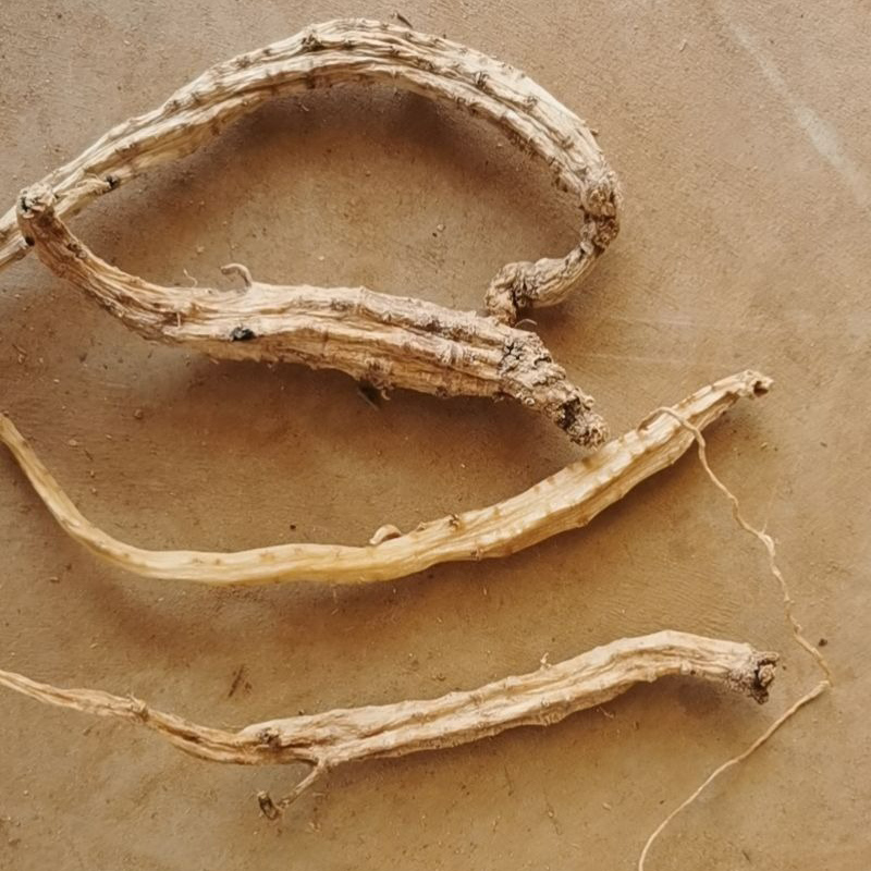 大山純野生黨參250克煲湯