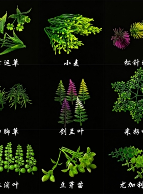 仿真草胶草 塑料草 假花 胶花 创意盘饰配件装饰酒店摆盘花王点缀