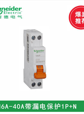 施耐德EA9A45 DPN系列1P+N 6 10 16 20  25 32 40A