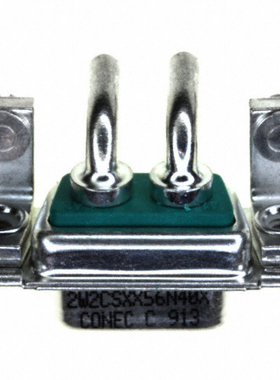 302W2CSXX56N40X |  302W2CSXX99A10X |  302W2CSXX99A30X