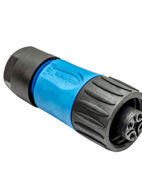 C01620D00310010 |  C01620D00310012 |  C01620D00311010