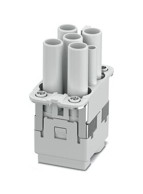 1079556 |  1079557 |  1079650