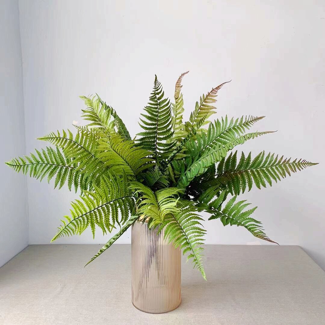 仿真植物铁线蕨铁线莲热带植物仿真绿植墙配材家居美景ins波斯叶