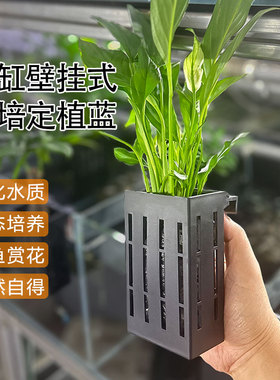 水培固定篮鱼缸水草固定神器壁挂式种植杯鱼缸造景装饰绿萝定植篮