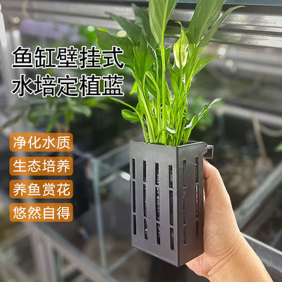 DK鱼缸壁挂式水培植物装饰定植篮