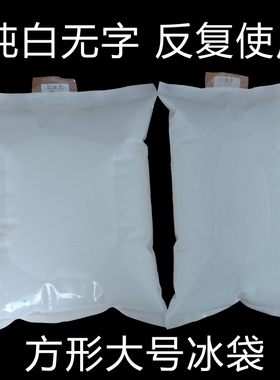 冰袋超大反复使用保鲜冷藏1000/2000ml纯白无字海鲜蔬菜水果快递