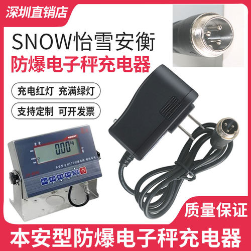防爆电子秤充电器电源线