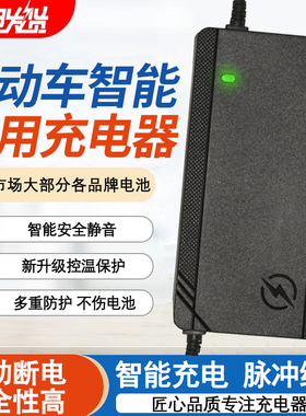 锂电池电瓶车充电器48V2A60V36V72V3A电动车智能滑板车代驾车通用