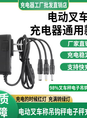 电子叉车充电器通用吊钩秤吊磅地牛手动液压搬运车专用充电器