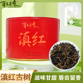 试喝装 云南凤庆滇红古树红茶茶叶散装 罐装 一罐30g