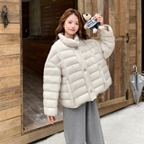 白色立领短款排骨羽绒服女冬季新款超火好看高级小众加厚保暖外套，女装羽绒服，2D107