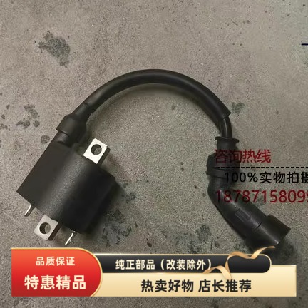 轻骑铃木QS150-5/7/10高压包原厂