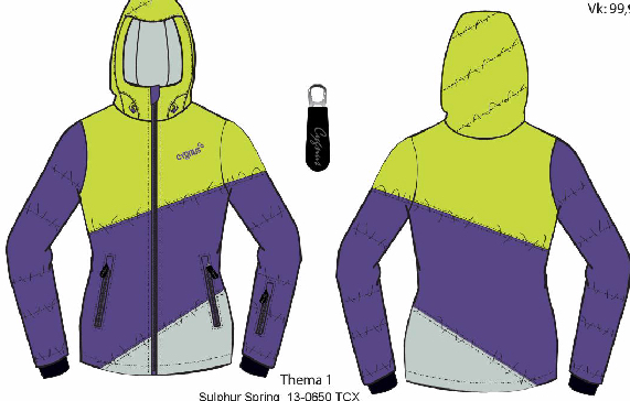 6运动类上装。女式滑雪服R276纸样