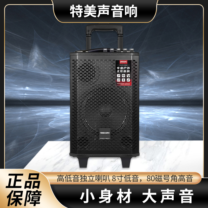 特美声A1-08手提便携移动无线蓝牙音箱户外广场舞大功率K歌音响