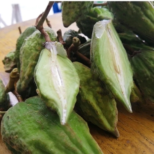 云南特产鲜酸扁果酸果子毛车藤酸果藤果酸水果送蒜香辣子蘸5