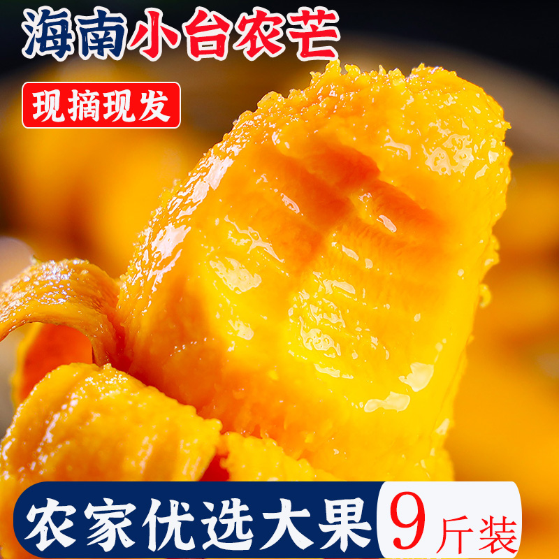 正宗海南小台农芒果10斤新鲜现摘小台芒应当季树上熟热带水果5
