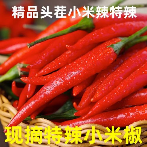 小米辣椒新鲜5斤农家自种现摘朝天椒薄皮辣椒特辣指天椒小米椒10
