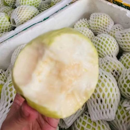 广西软糯白心芭乐10斤装水果当季现摘奶油白番石榴应季新鲜巴乐果