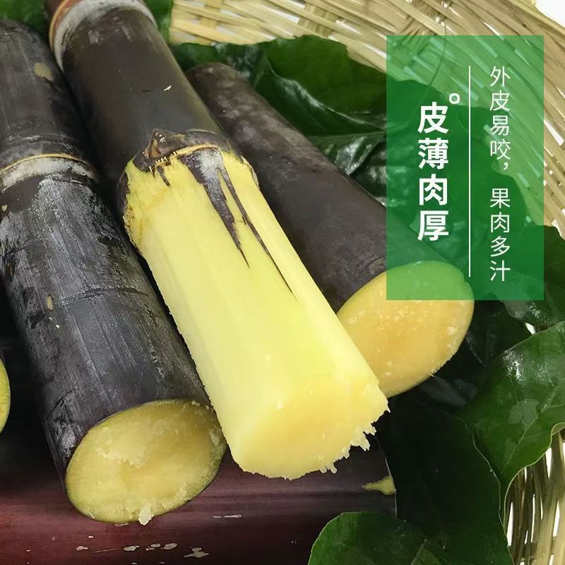 应季现砍现发9斤广西黑皮甘蔗水果新鲜当季甜杆脆孕妇紫非青黄