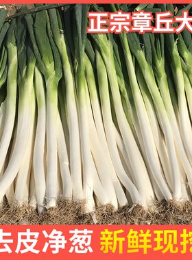 山东章丘大葱新鲜特级10斤正宗甜脆铁杆大葱特产蔬菜5斤香红葱头