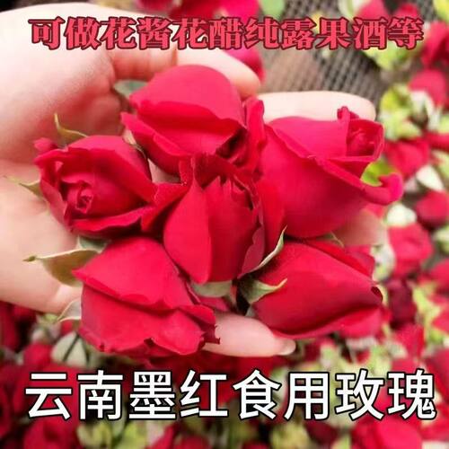 现摘现发云南新鲜食用玫瑰花