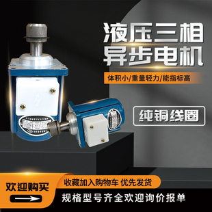 达圣液压YT1电力液压推动器YDT80W140W250W400微型三相异步电动机