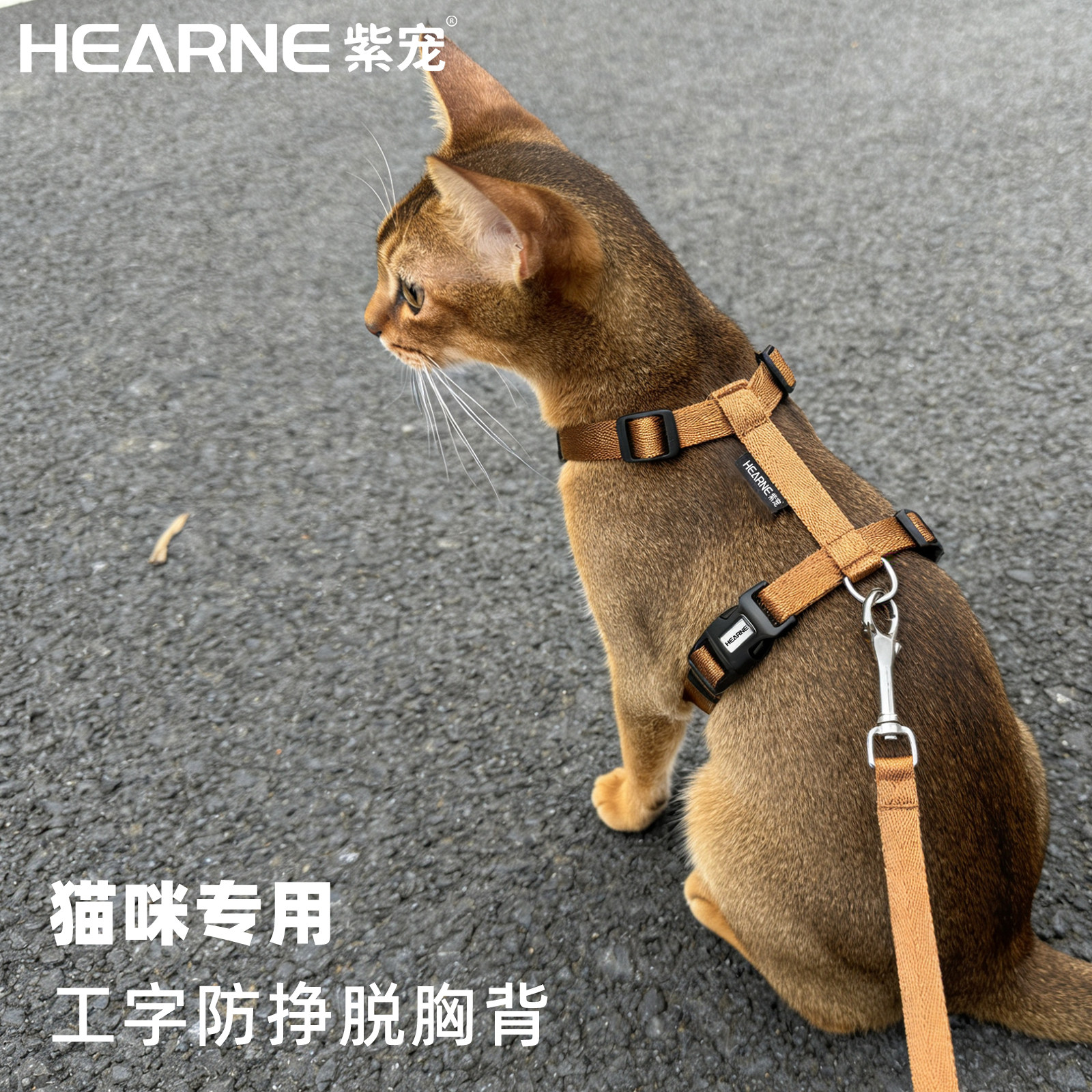 HEARNE猫咪专用背心式牵引绳工字型防挣脱不勒脖胸背带外出遛猫绳,宠物/宠物食品及用品,猫牵引绳,淘宝优惠券,粉丝福利购,淘宝优惠卷