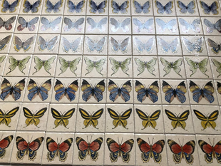 蝴蝶卡通花片100mm人工手绘制现货 昆虫植物复古花片浴室瓷砖 包邮